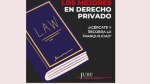 Litigio empresarial