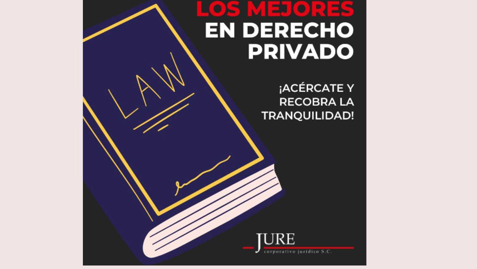 Litigio empresarial